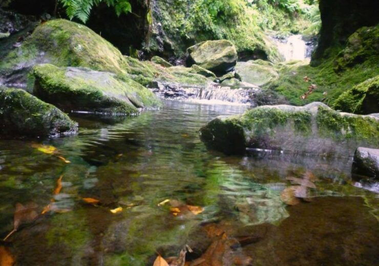Madeira: Walking Tour Levada Do Rei/Ribeiro Bonito - Booking Details