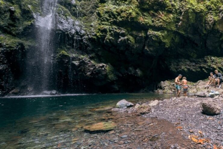 Madeira: Walking Tour - Queimadas / Caldeirão Verde - Tour Overview