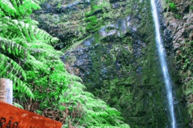 Madeira: Walking Tour - Queimadas / Caldeirão Verde - Booking Details