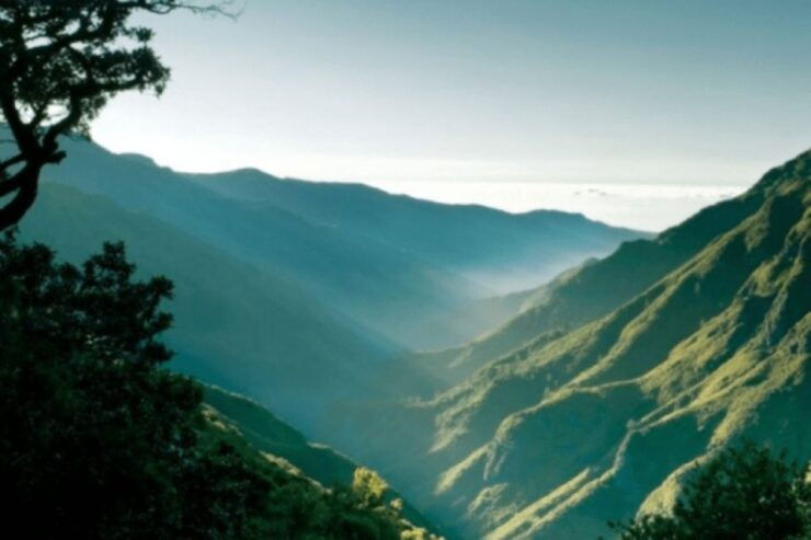 Madeira : Walking Tour-Rabaçal /25 Fontes - Activity Details and Highlights