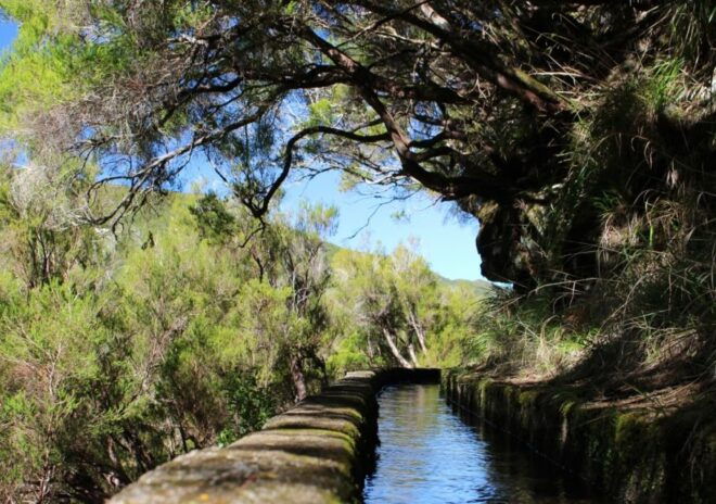 Madeira : Walking Tour-Rabaçal /25 Fontes - Difficulty Level and Price