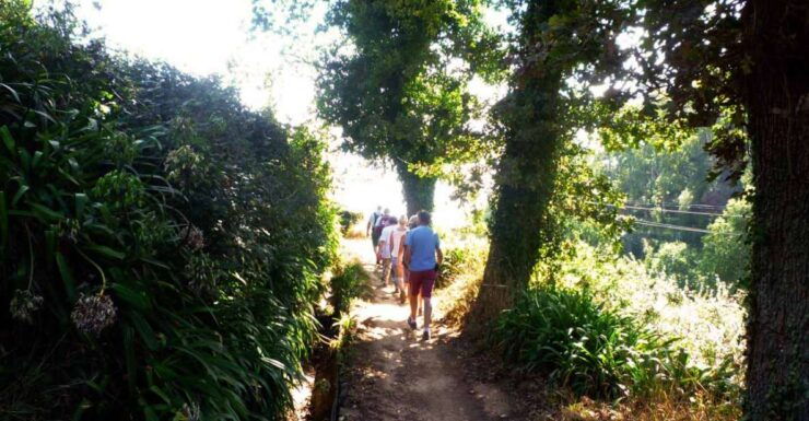 Madeira: Walking Tour - Vale Paraíso / Rochão - Tour Highlights