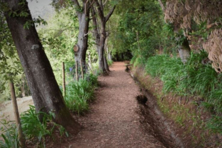 Madeira : Walking Tour - Vale Paraíso / Rochão - Tour Overview