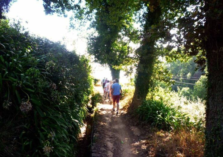 Madeira : Walking Tour - Vale Paraíso / Rochão - Experience Highlights