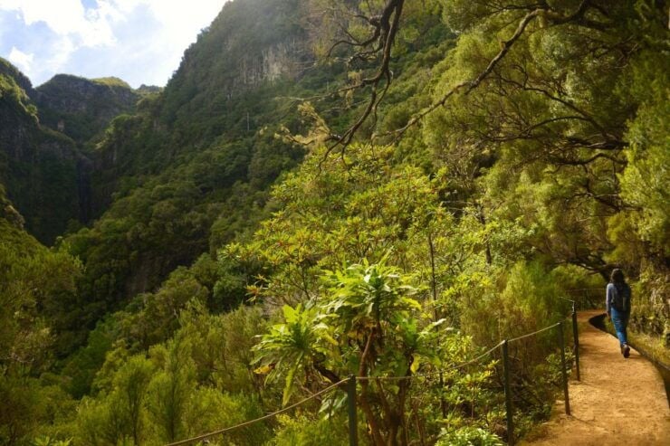 Madeira Walks - Rabaçal and the 25 Fountains - Activity Details