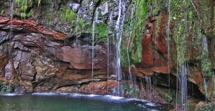 Madeira Walks - Rabaçal and the 25 Fountains - Experience Highlights