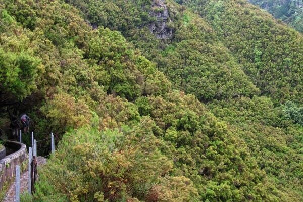 Madeira Walks - Rabaçal and the 25 Fountains - Common Questions