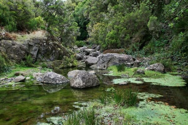 Madeira Walks - Rabaçal and the 25 Fountains - The Sum Up