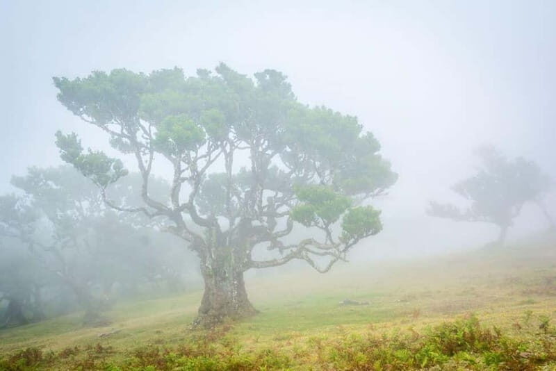 Madeira: West Island Day Trip - A Complete Guide to Madeira’s West Island Day Trip
