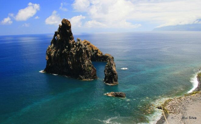 Madeira West Island Full-Day Tour With Levada Walk - Fishing Village of Câmara De Lobos