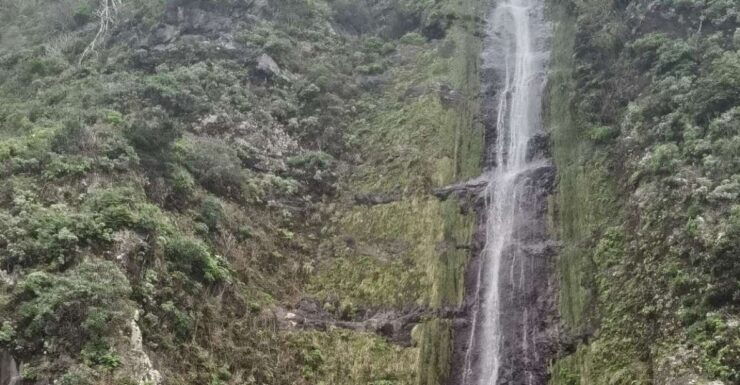Madeira : West Side - Porto Moniz Highlights 4x4 Experience - Discover the Charm of Porto Moniz