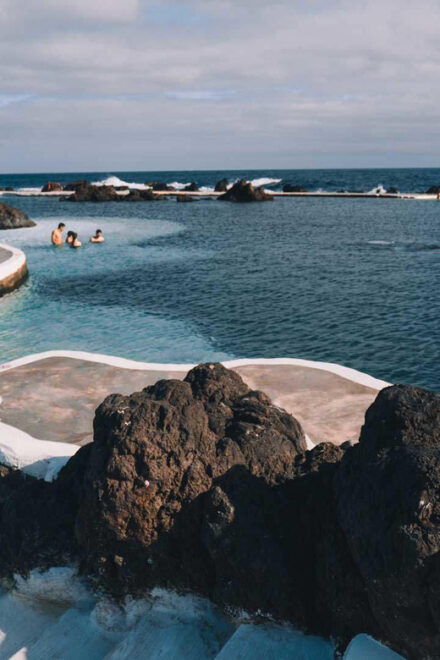 Madeira: West Tour With Guide&Fanal Forest&SykWalkExperience - Experience the Fanal Forest