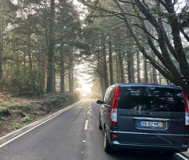 Madeira: Western Madeira Guided Trip & Fanal Mystic Forest - Customer Reviews