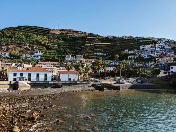 Madeira: Western Madeira Guided Trip & Fanal Mystic Forest - Transportation Rating
