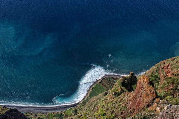 Madeira: Western Madeira Guided Trip & Fanal Mystic Forest - The Sum Up