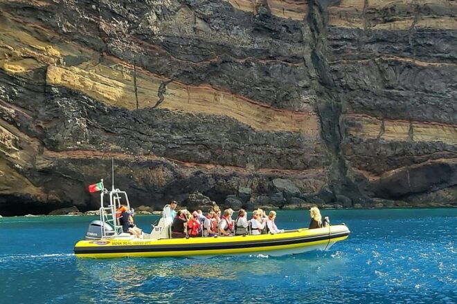 Madeira: Whale and Dolphin Watching Tour - Review Summary
