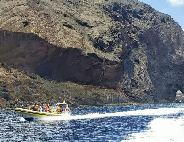 Madeira: Whale and Dolphin Watching Tour - Transportation