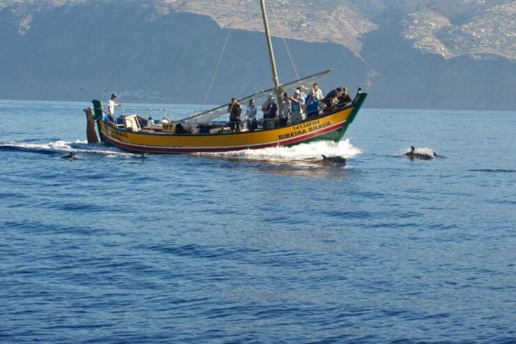 Madeira: Whale Watching Excursion in a Traditional Vessel - Reservation Details
