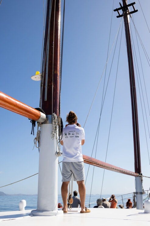 Madeira : Whales and Dolphins Wooden Boat Excursion - Pricing and Cancellation