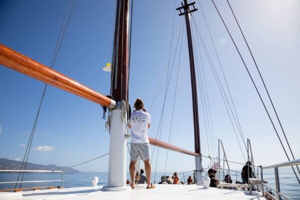 Madeira : Whales and Dolphins Wooden Boat Excursion - Experienced Crew and Support