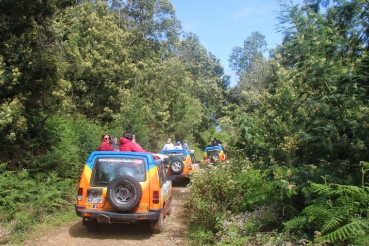 Madeira: Wine & Tapas, Cabo Girão Skywalk 4x4 Jeep Adventure - The Sum Up