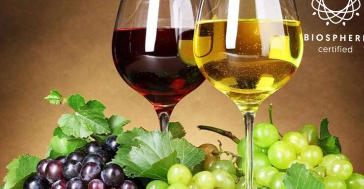 Madeira: Wines Tasting Experience, Honey Museum & Cabo Girão - Activity Highlights