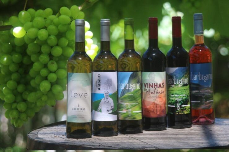 Madeira : Wine&Tapas, Cabo Girão Skywalk 4x4 Jeep Adventure - Tour Details