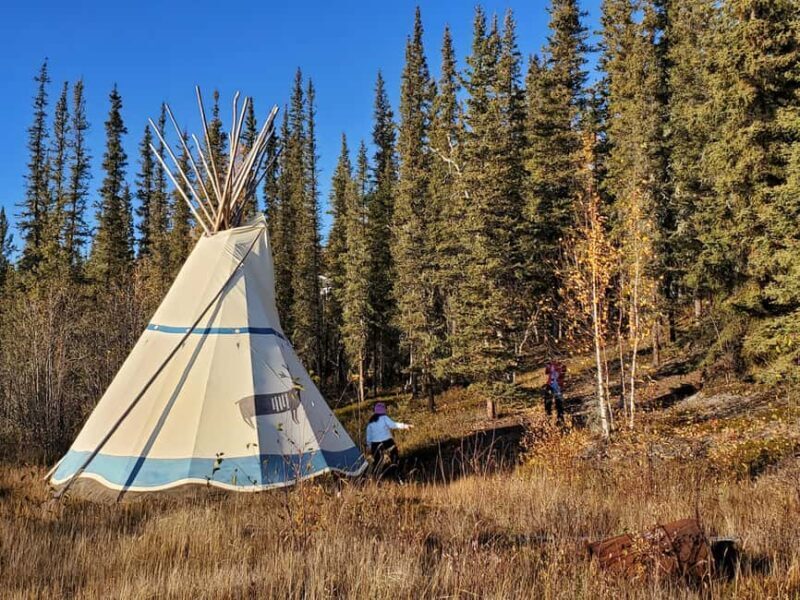Madeline Lake: Aurora Lodge and Aurora Chasing Tour - The Aurora Hunting: Flexibility and Expertise