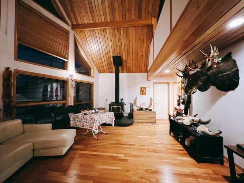 Madeline Lake: Aurora Lodge and Aurora Chasing Tour - Pricing and Overall Value