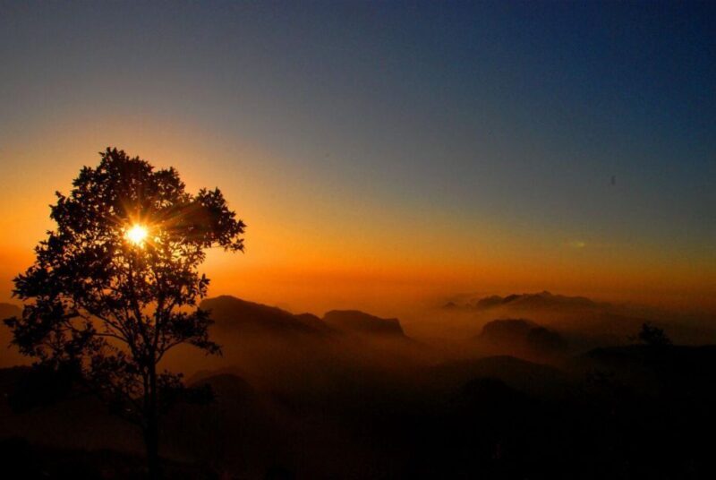 Madhya Pradesh: Satpura National Park Guided Jeep Safari - Good To Know  