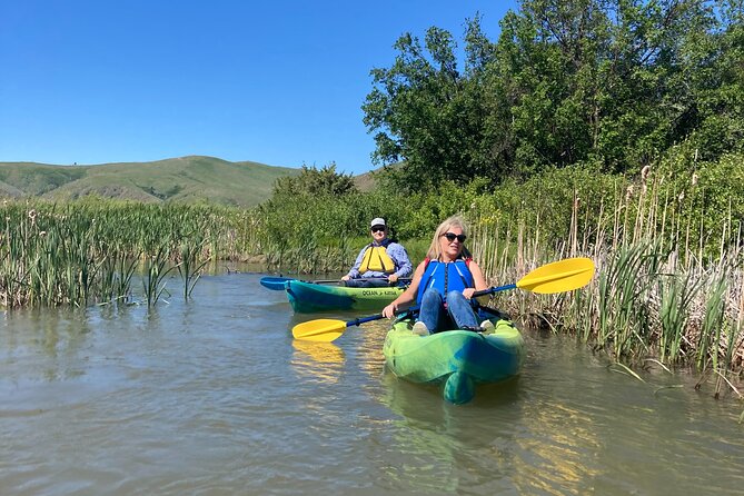 Madison River Guided Kayak Tour - Reviews and Pricing
