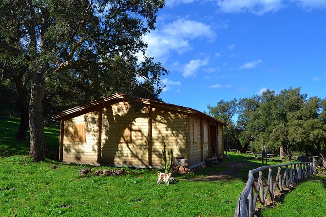 Madonie Wild Adventure - The Sum Up