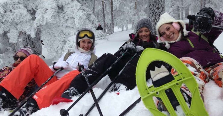Madrid: 4-Hour Snowshoe Hiking - Activity Overview