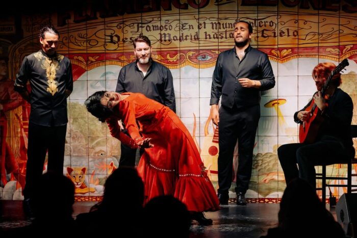 Madrid: Authentic Flamenco at Flamenco De Leones With Drink - What to Expect