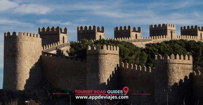 Madrid: Avila and Tierras De Cebreros Winery Tour With Lunch - Winery Experience