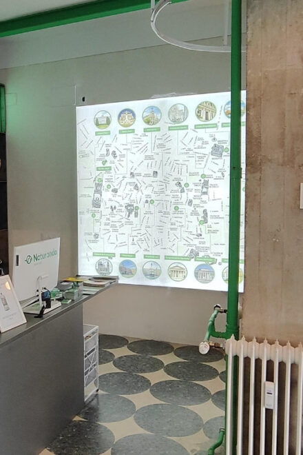 Madrid: Bike Rental - Explore Madrid by Bike