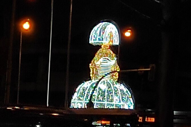 Madrid Christmas Light Tour by Open Top Double-Decker Bus - Safety Guidelines