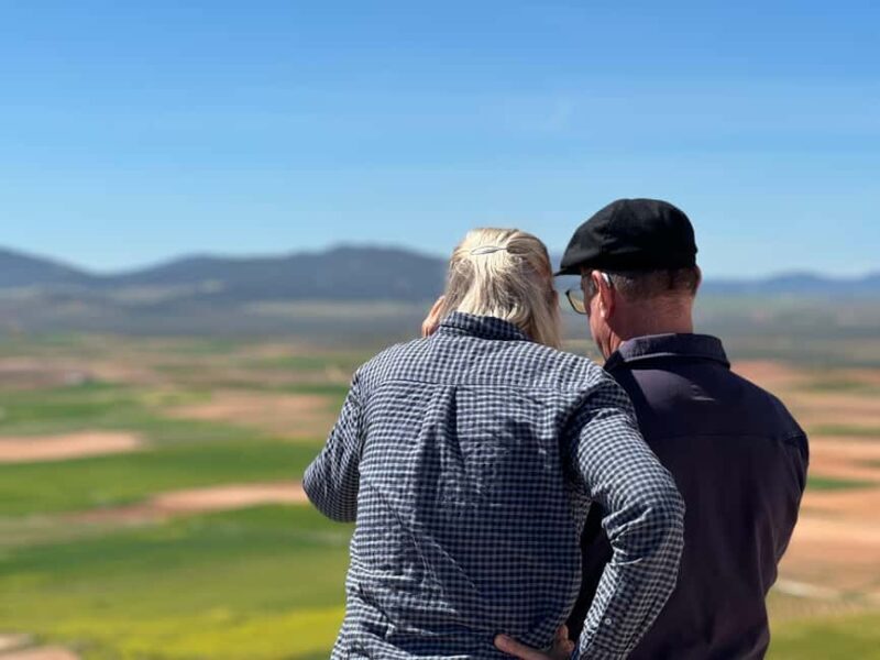 Madrid: Consuegra Don Quixote Windmills Tour - Return to Madrid: Reflecting on the Day