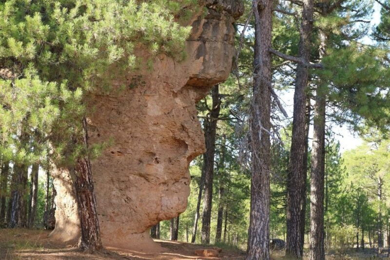 Madrid: Cuenca Day Tour With or Without Enchanted City - Itinerary Details