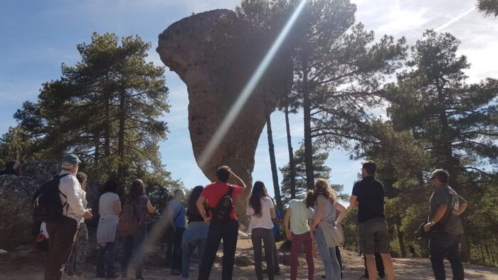 Madrid: Cuenca Day Tour With or Without Enchanted City - Important Considerations
