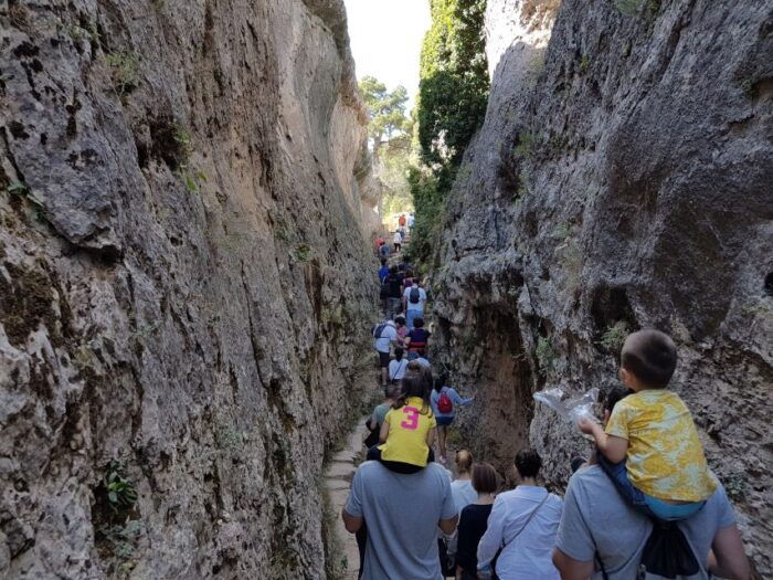 Madrid: Cuenca Day Tour With or Without Enchanted City - Common Questions