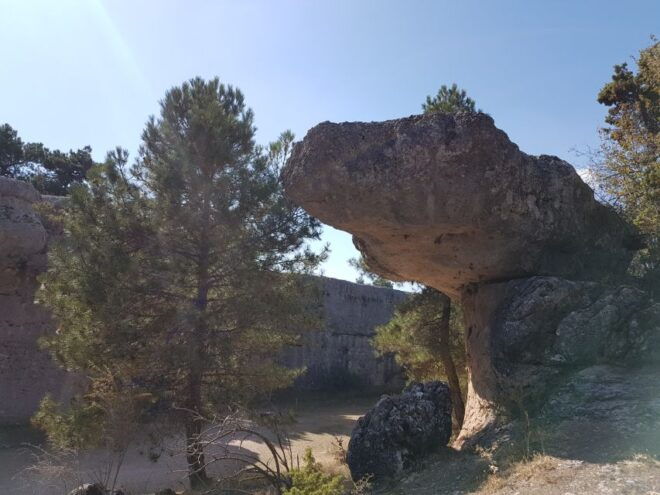 Madrid: Day Trip to Cuenca and The Enchanted City - Review Summary