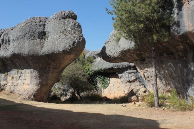 Madrid: Day Trip to Cuenca and The Enchanted City - Customer Review