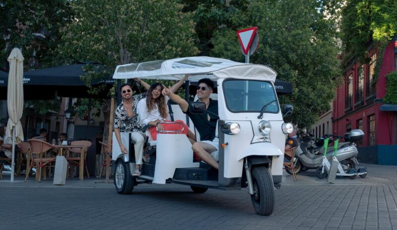 Madrid: Exclusive Panoramic Views in Tuk Tuk - Discover the Royal Palace of Madrid