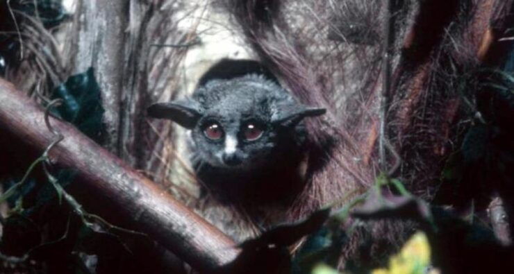 Madrid: Faunia Entry Ticket - Ticket Details