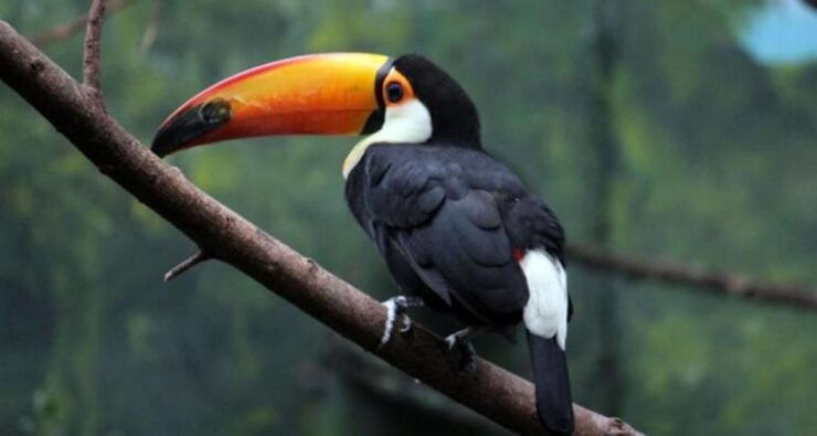 Madrid: Faunia Entry Ticket - Experience Highlights