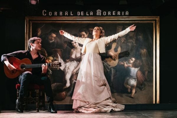 Madrid: Flamenco Show at Corral De La Moreria - Sample Customer Review
