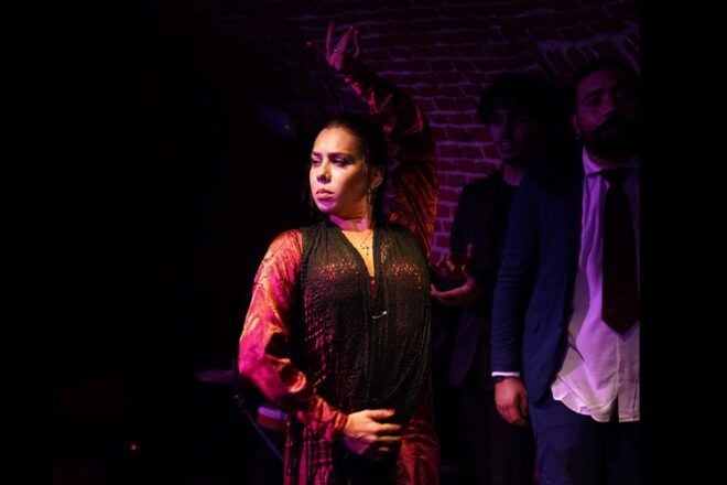 Madrid: Flamenco Show Entry Ticket With Drink & Artist Talk - Full Description of the Experience