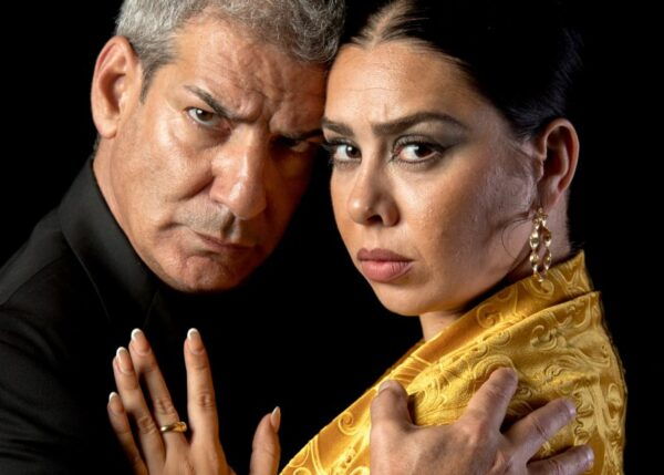 Madrid: Flamenco Show Entry Ticket With Drink & Artist Talk - Guide Rating and Value for Money