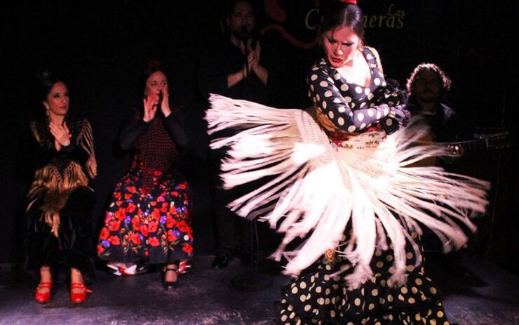 Madrid: Flamenco Show With Tapas and Wine Tour - Tour Overview